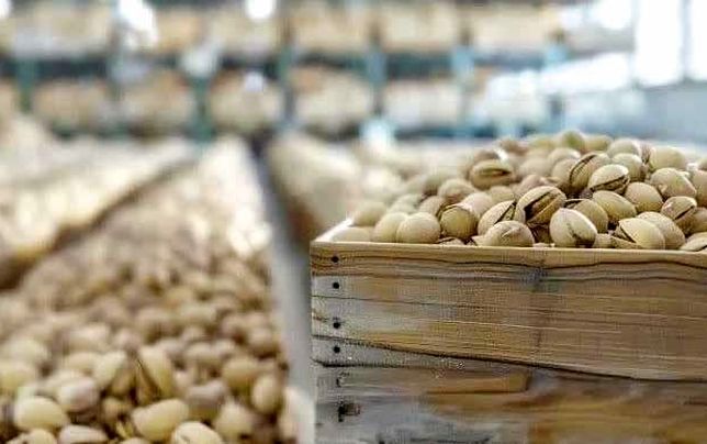 ترکیه و امارات پسته ایران را با برند خود صادر می‌کنند!
