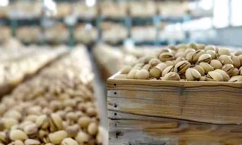 ترکیه و امارات پسته ایران را با برند خود صادر می‌کنند!