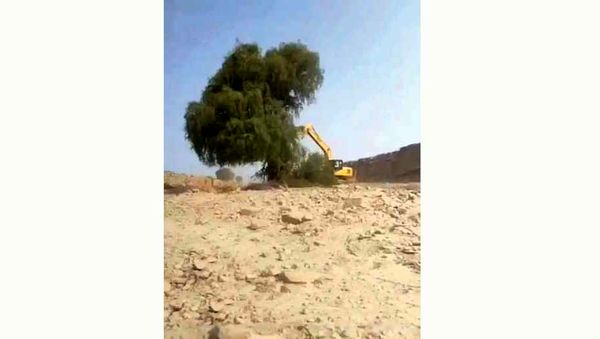 چرا محیط زیست قربانی چابک‌سازی دولت شد؟!