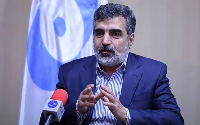 

تمرکز ما بر همکاری هسته‌ای با روسیه است