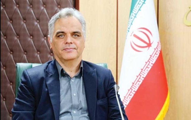 
نجاتیان: مشکلات کادر درمان نیازمند توجه جدی دولت و مجلس است
