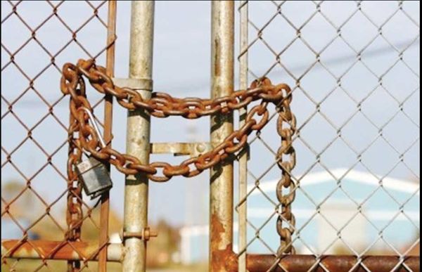 حال و روز صنعت کاغذ وخیم است