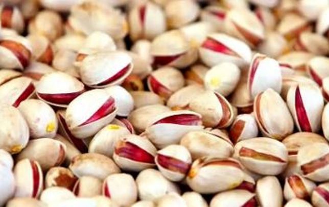 

صادرات پسته قربانی مقررات ارزی 

شده است