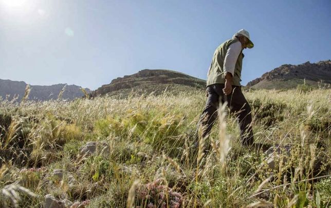 قرق‌بانان جنگل‌های مازندران همچنان در تنگنای معیشتی به‌سر می‌برند