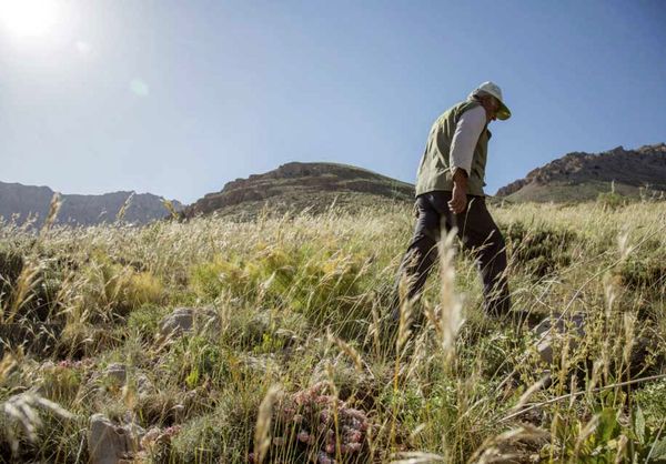 قرق‌بانان جنگل‌های مازندران همچنان در تنگنای معیشتی به‌سر می‌برند