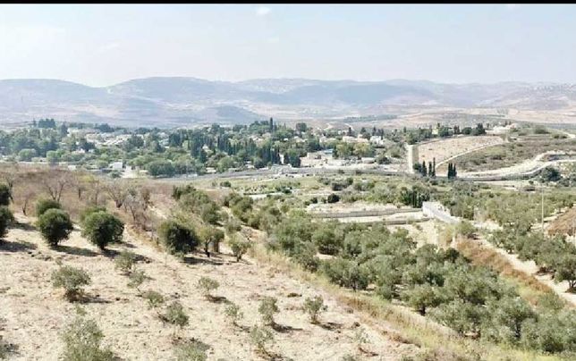 موافقت کابینه اسرائیل 

با  ساخت  ۱۹ شهرک در کرانه باختری