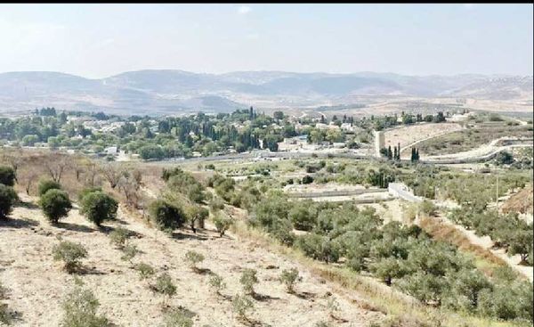 موافقت کابینه اسرائیل 

با  ساخت  ۱۹ شهرک در کرانه باختری