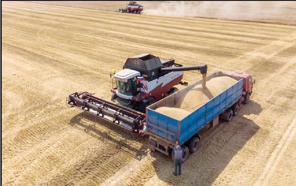 رئیس انجمن غلات ایران:
هر سال فصل خرید غله را با شعار خودکفایی از دست می‌دهیم