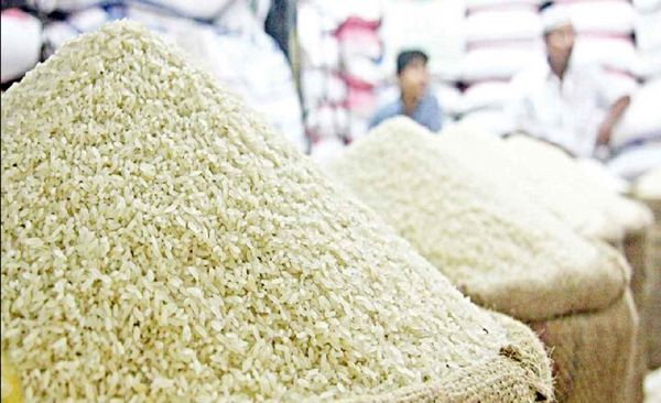 سیاست وارداتی کنونی به نفع مصرفکنندگان برنج نیست