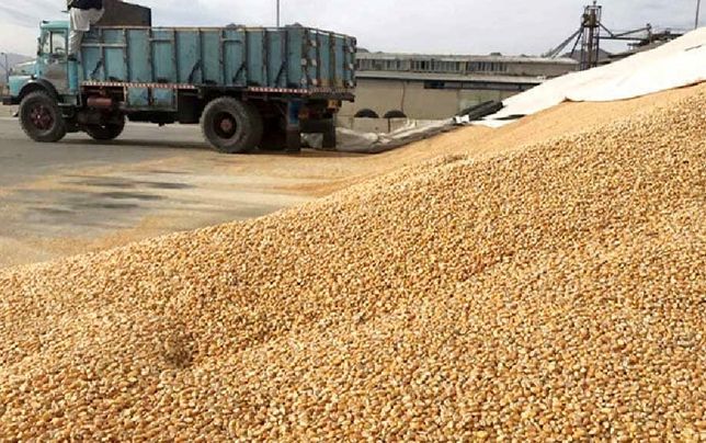 
التهاب دوباره‌ در قیمت نهاده‌های دامی