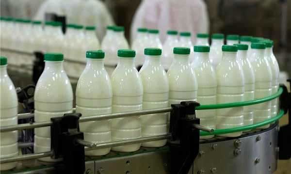 رفتار پتروشیمی‌ها با صنایع لبنی مافیایی و آزاردهنده است