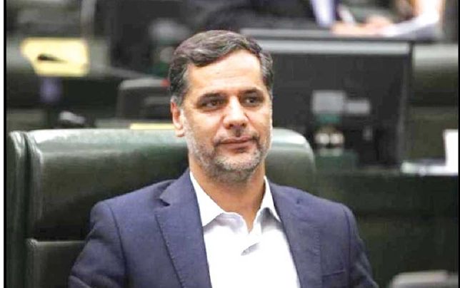 
نمایندگان بدون هماهنگی با نهادهای بالادستی نمی‌توانند برخی طرح‌ها را بدهند