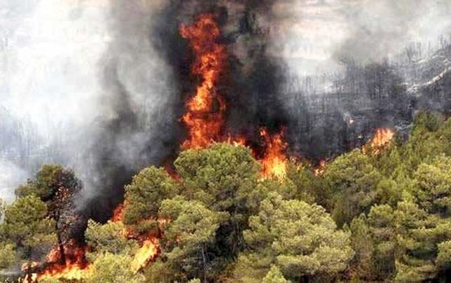 
محیط زیست؛ بی‌پناه در زبانه‌های آتش سیاست