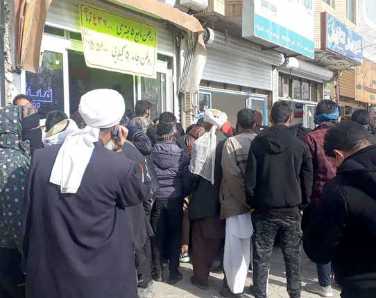 روغن هم دلار 4200 تومانی گرفت، هم نایاب شد!