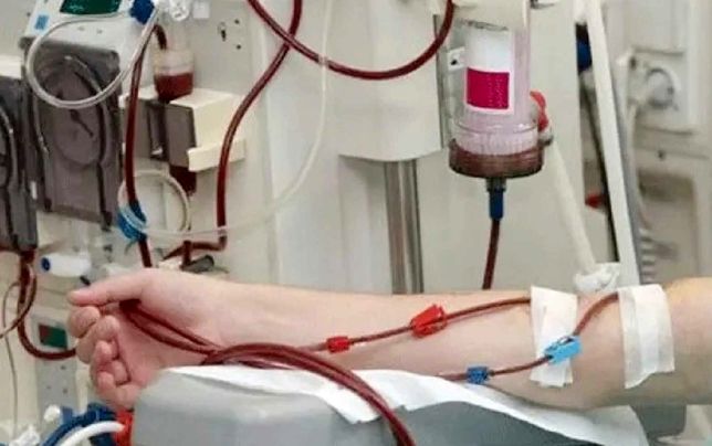 
زندگی میان کیسه‌های خون و قرص‌های نایاب