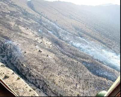 اعزام هواپیمای آب‌پاش ایلوشین 

برای اطفای آتش در ارتفاعات هرمزگان