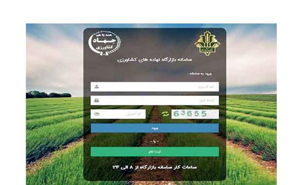 تعداد دلالان در سامانه «بازارگاه» از کل واردکنندگان بیشتر است