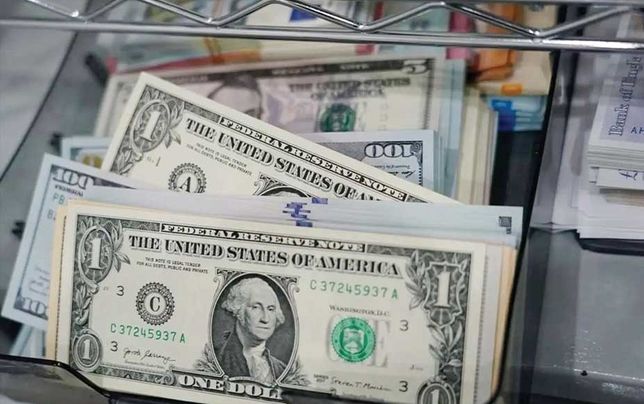 
نرخ ارز در کشور تابع سیاست بانک مرکزی است