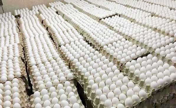 سقف افزایش قیمت تخم‌مرغ تا کجاست؟!
