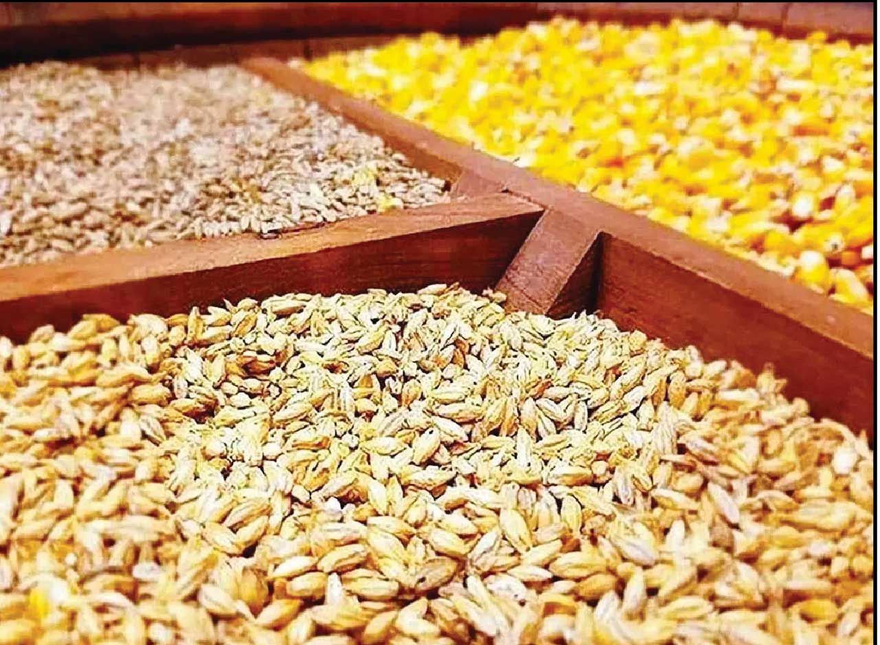 
جولان دلالان موجب شکست سامانه بازارگاه شد