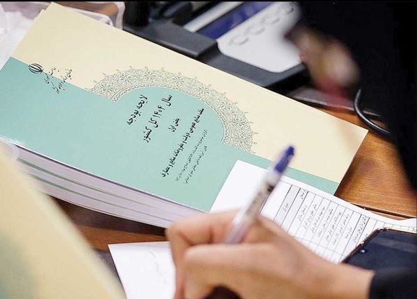پای حسابرسی به میان بیاید، بودجه بسیاری نهادها و سازمانها حذف میشود