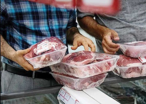 
حداقل دستمزد روزانه پول نیم کیلو گوشت هم نیست