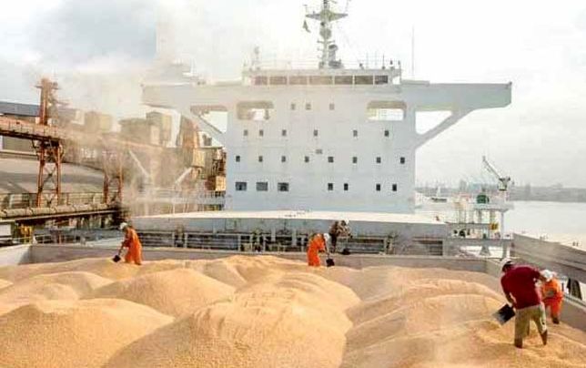 تداوم چالش تامین نهاده به کمبود مرغ می‌انجامد