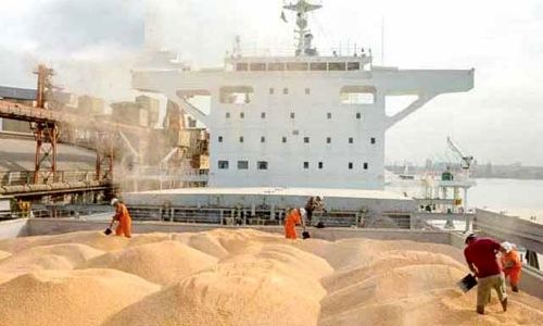 تداوم چالش تامین نهاده به کمبود مرغ می‌انجامد