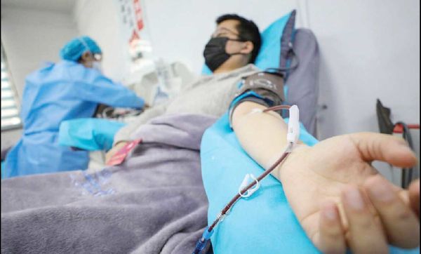 افزایش قیمت سرسامآور داروهای سرطان به دلیل حذف ارز نیمایی