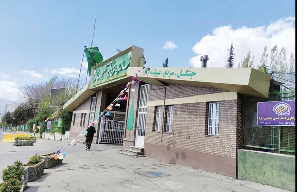 
انحلال سازمان منابع طبیعی در حکم نابودی محیط‌زیست ایران است