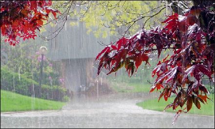 یک فصل در مقابل نیمقرن!