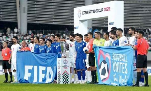 نبرد با گرگ‌های سفید