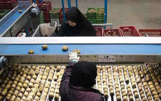 
زنان کارگر در منگنه حقوق پایین و ترس از اخراج